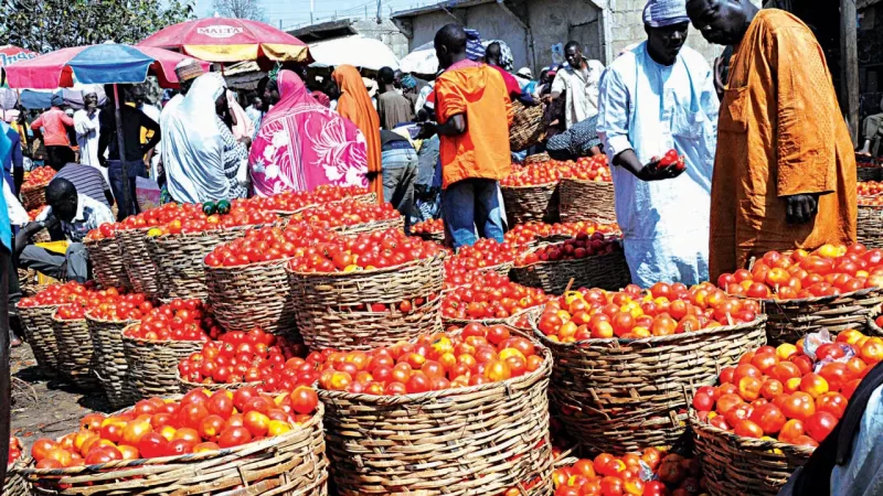 Food and tomatoes in Nigeria