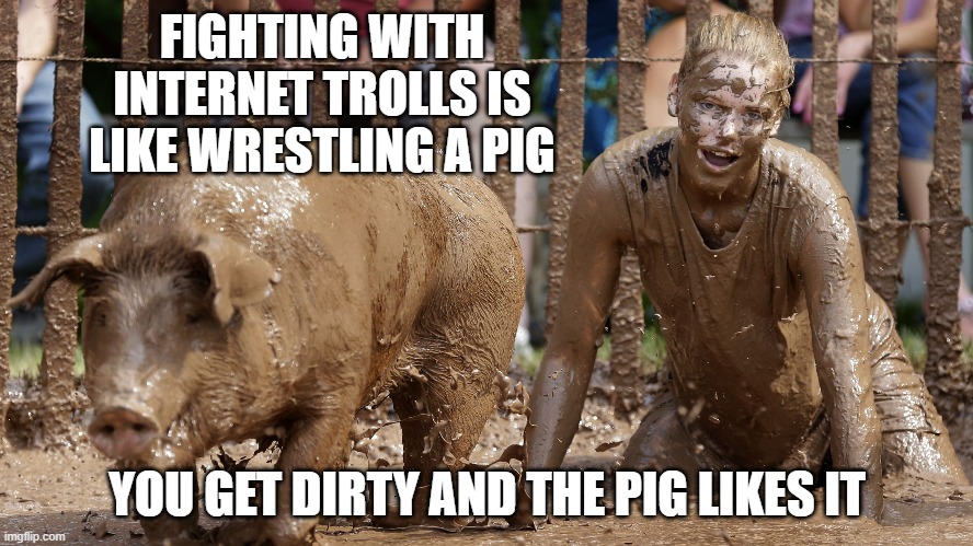 INTERNET TROLL