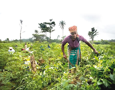 Agriculture