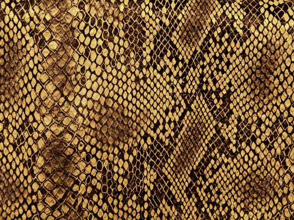 Yoruba Python skin