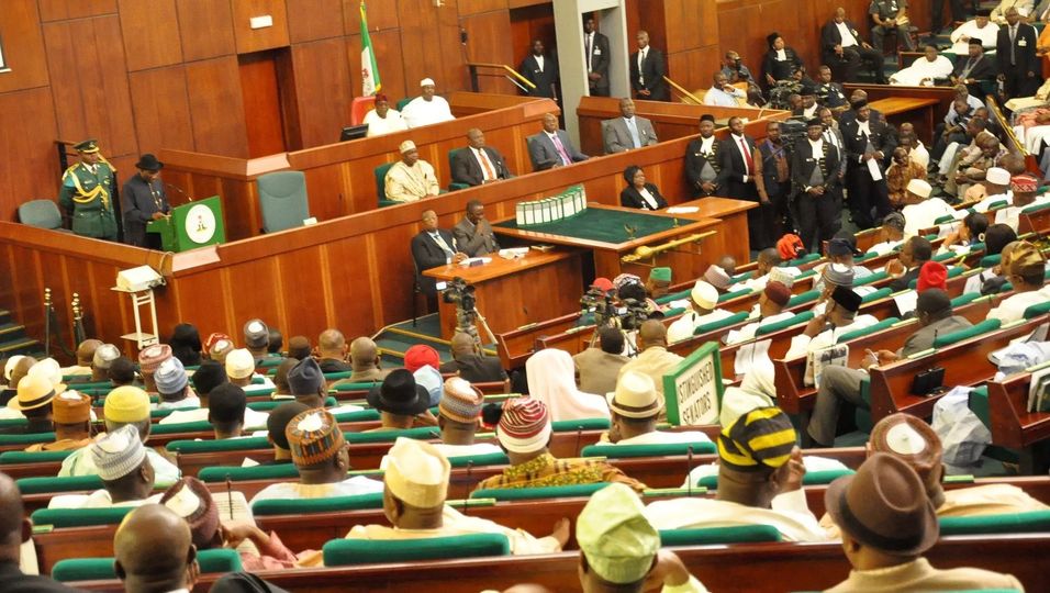 national assembly - NASS
