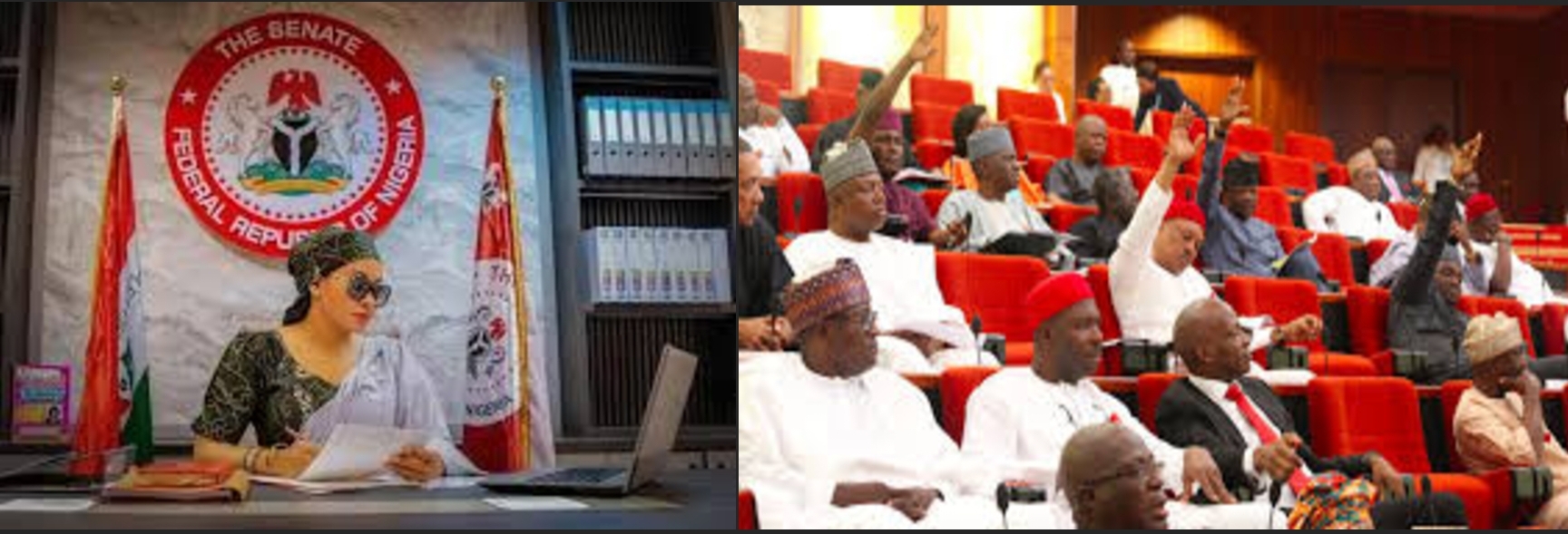 Natasha Akpoti-Uduaghan and Senate
