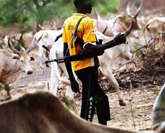 Fulani herdsmen and their cow