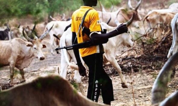 Fulani herdsmen and their cow