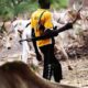 Fulani herdsmen and their cow