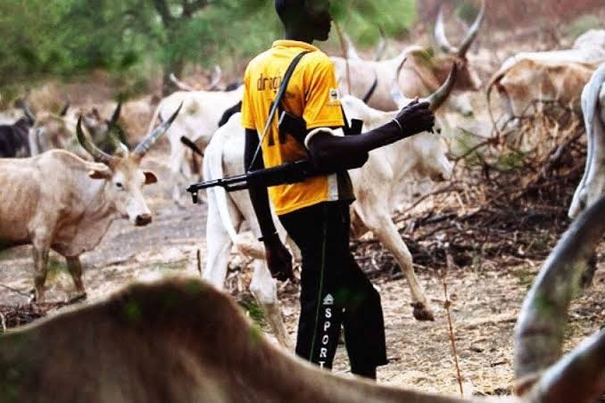 Fulani herdsmen and their cow