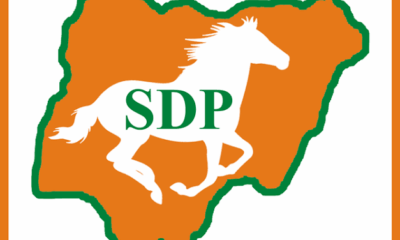 SDP