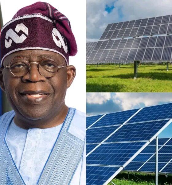 Tinubu and solar panels