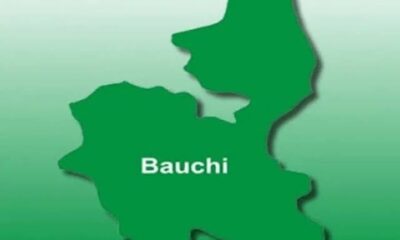 Bauchi
