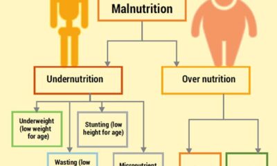Health-food-nutrition-insecurity