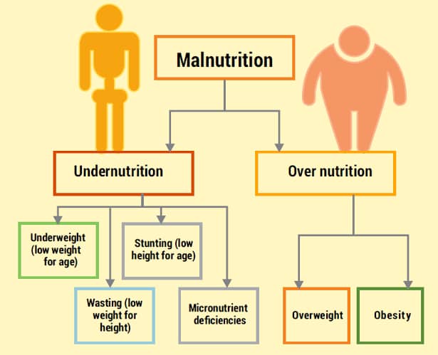 Health-food-nutrition-insecurity
