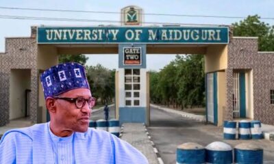 UNIMAID and Buhari