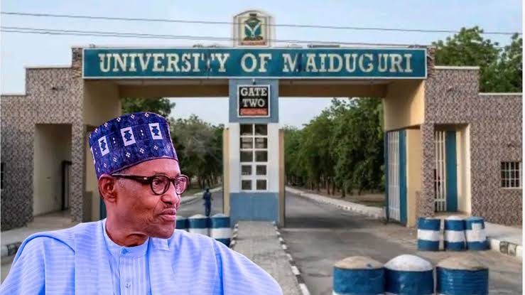 UNIMAID and Buhari
