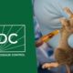 Lassa fever