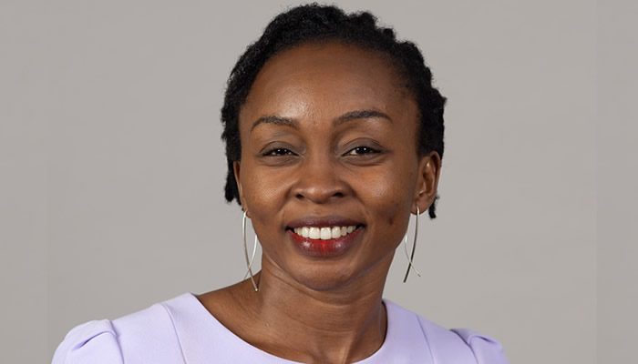 Abimbola-Adelakun-Opinion-Nigeria