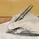 Opinion Writer