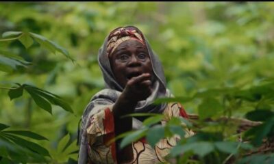 The Herd - Woman - Bandits - Movie