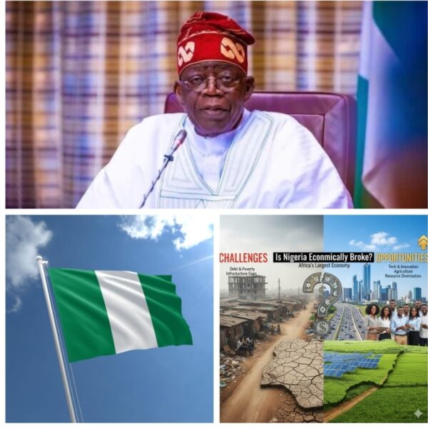 Tinubu, Nigeria and the economy