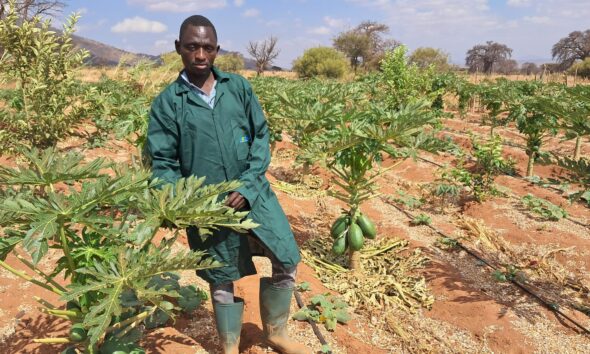 Transforming African Agriculture