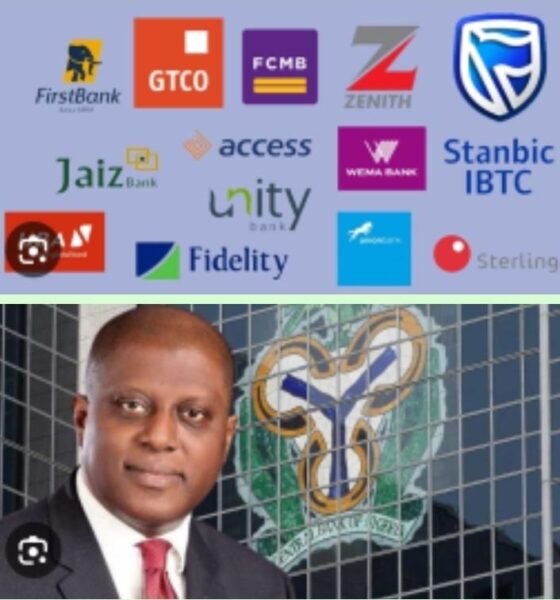CBN Governor, Cardoso and Bank