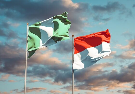 beautiful-national-state-flags-nigeria-indonesia-together-blue-sky_337817-3350