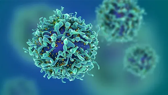 cancer-covid