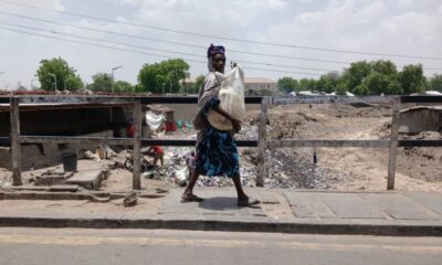 Waste,bin,trash,dirt,gutter,woman