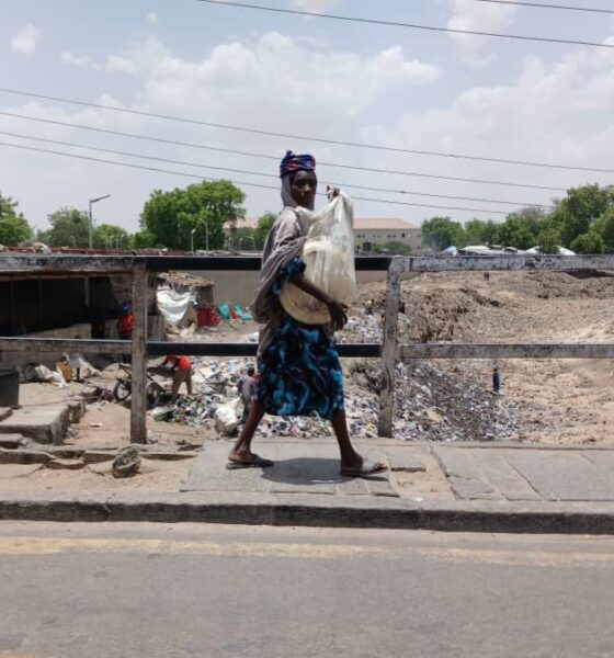 Waste,bin,trash,dirt,gutter,woman