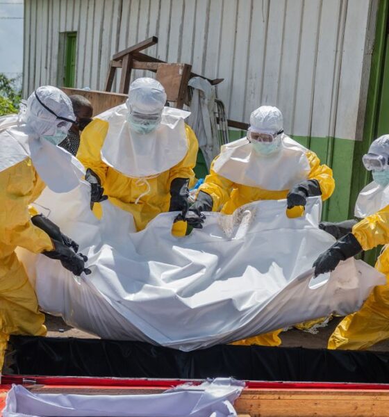 Ebola and COVID-19