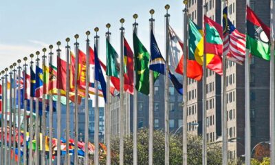 UN Flags Government Procurement