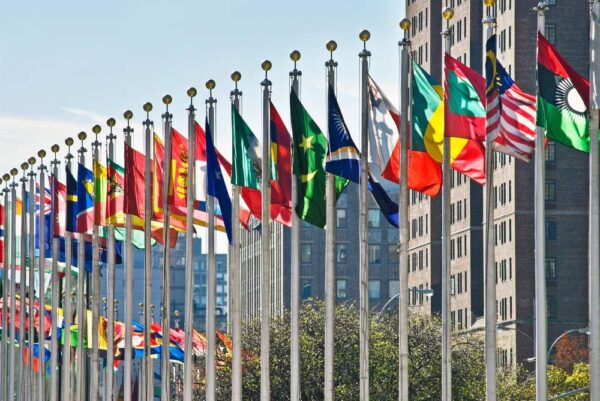 UN Flags Government Procurement
