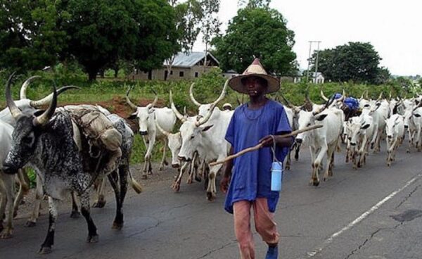 fulani-herdsmen1