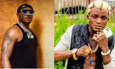 portable-terry g