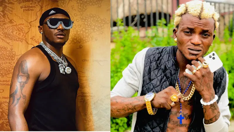 portable-terry g