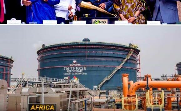 Dangote IPO Pix