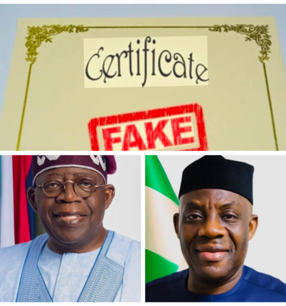 Fake credential - Tinubu and forgery