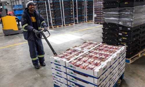 Shoprite-Food-and-goods-warehouse-1000x600